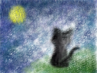 貓.月亮.星空