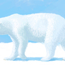 极地霸主-北极熊