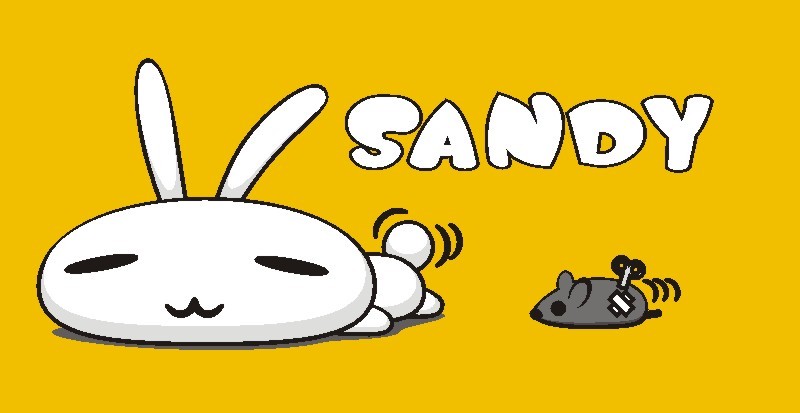 SANDY兔.jpg