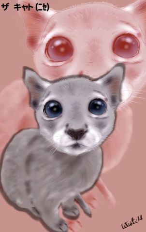 Painter習作－藍毛貓之一