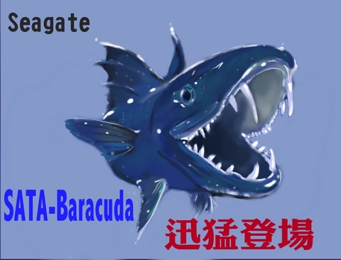seagate: barracuda
