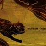Microsoft Cougar 美洲豹