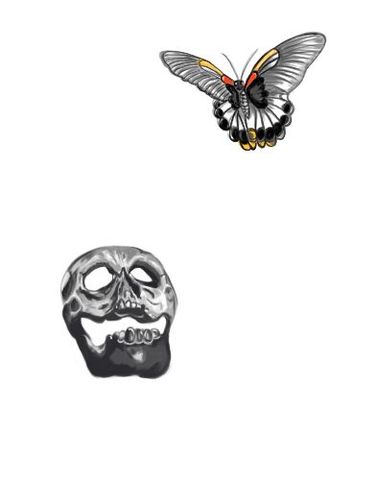 骷髏與蝶