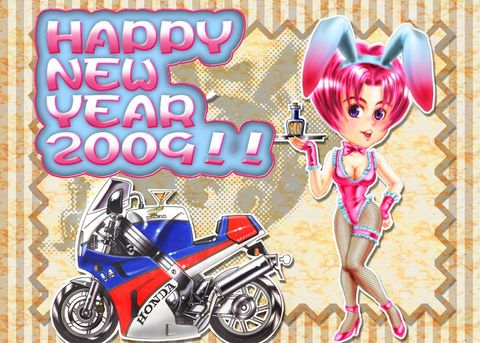 happy new year!2009!!