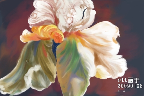 acrylics花卉——鸢尾花的丙烯画