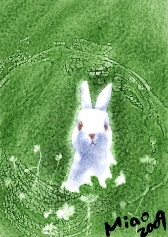 兔子兔子