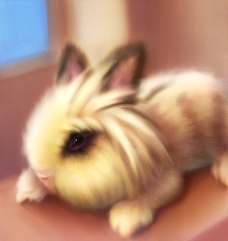 可愛兔子