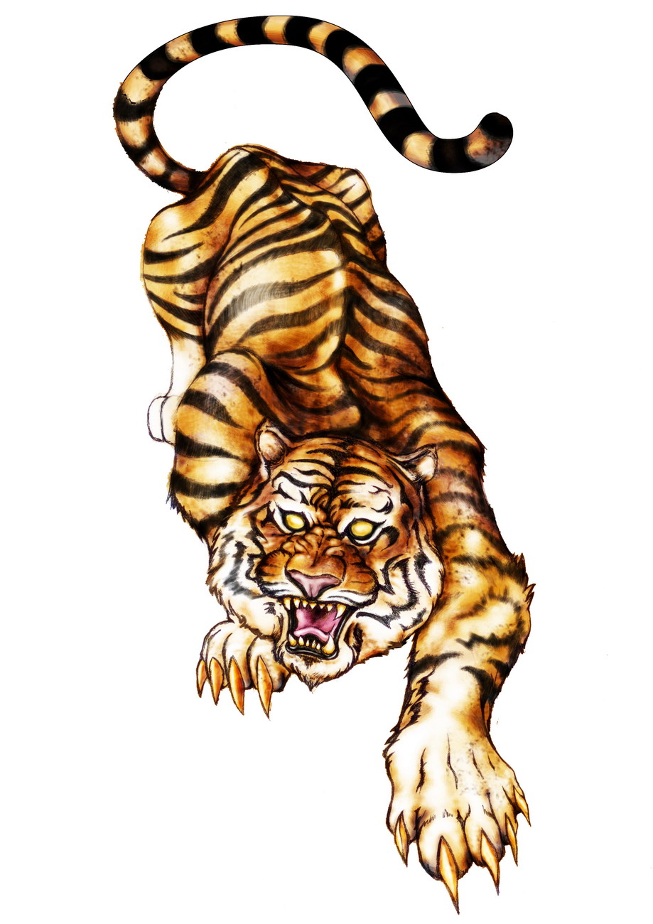 tiger-1300.jpg