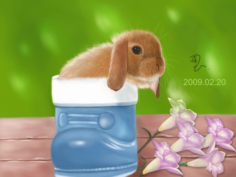 小兔兔-09