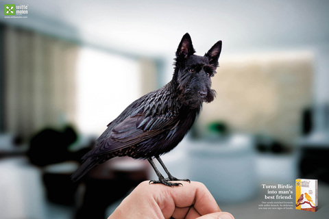 Witte Molen 形象廣告「鳥是人類最好的朋友」(2)