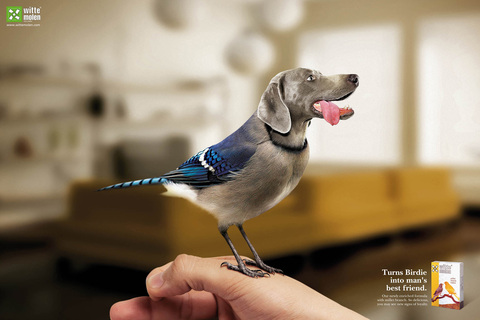 Witte Molen 形象廣告「鳥是人類最好的朋友」(1)