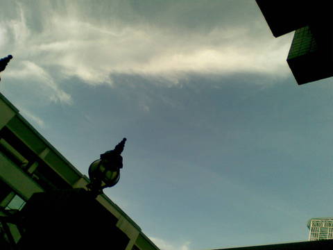 羽毛的雲