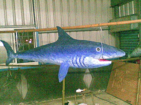 鯊魚模型創作