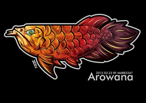 龍魚-Aroeana