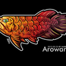 龍魚-Aroeana