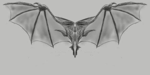 蝙蝠翅膀-背甲