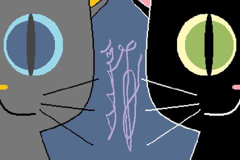 貓:(滑鼠+小畫家)