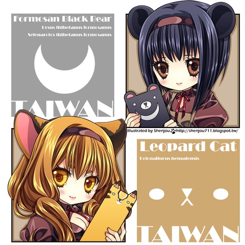 ｜Original｜Taiwan Bear & Cat｜