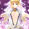 Fate EXTRA ccc