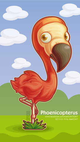Phoenicopterus-紅鶴