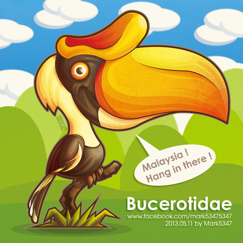大犀鳥-Bucerotidae