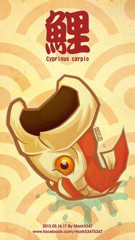 Cyprinus carpio-鯉
