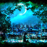 城裡的月光-弦月下的燈火