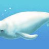 白鯨之旅