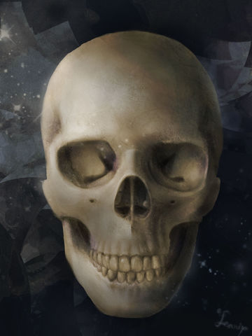 骷髏-skull