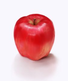 apple：蘋果：靜物寫生