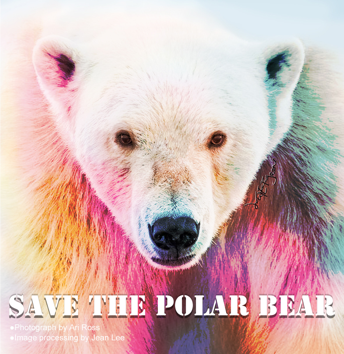 Save the Polar Bear (R).jpg