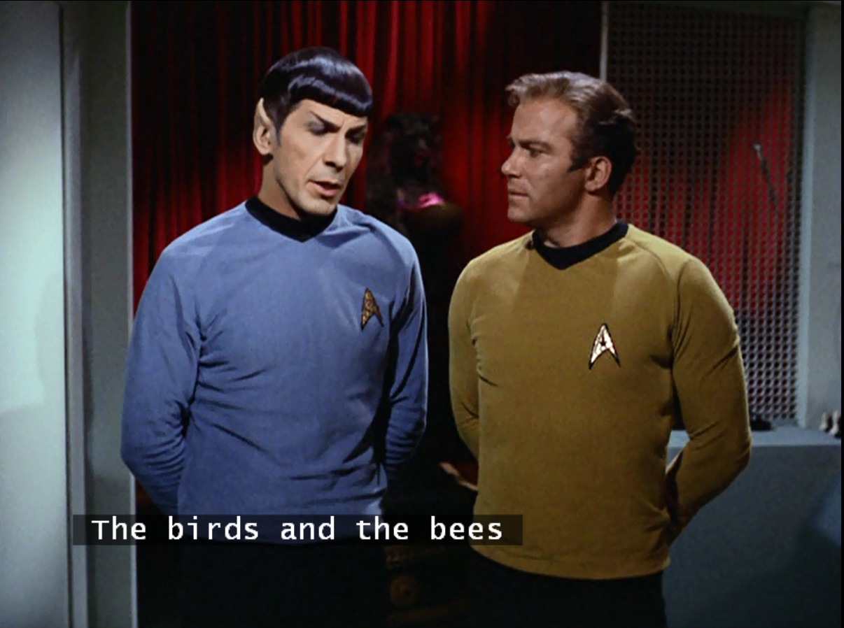 Spock and kirkthe-birds-and-the-bees-are-not-vulcans.jpg