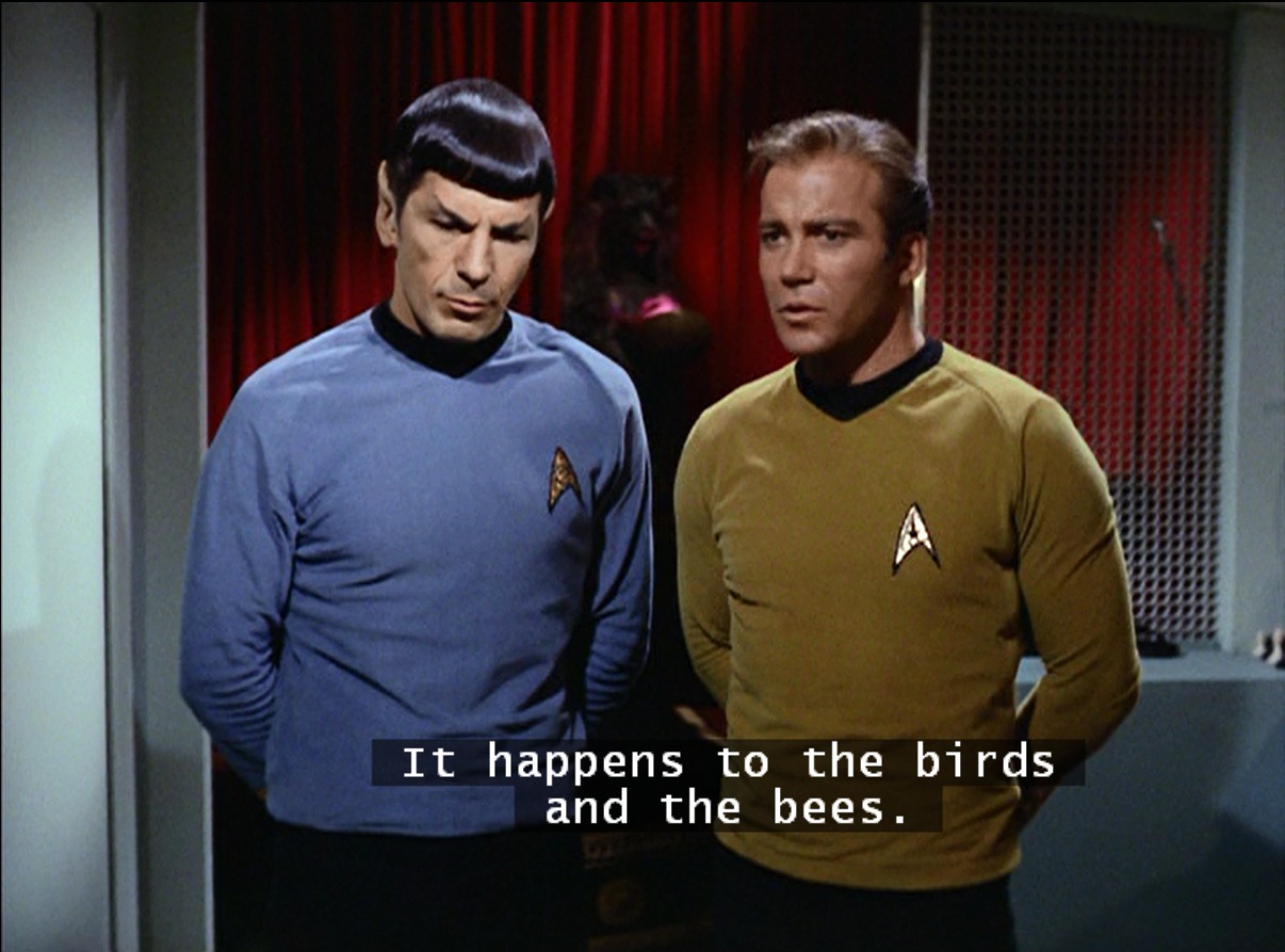 Spock and kirkthe-birds-and-the-bees-spock-kirk-1.jpg