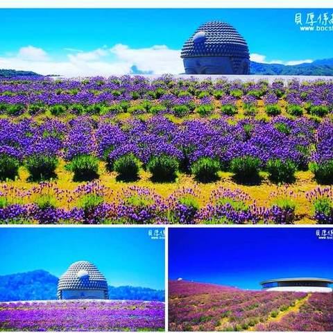 【幻紫＊青空境】北海道夏天之旅