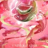 ★【Universe Star 夢宇宙星球】 -《 西瓜碧璽星Watermelon tourmaline-紅龍魚傳說的故