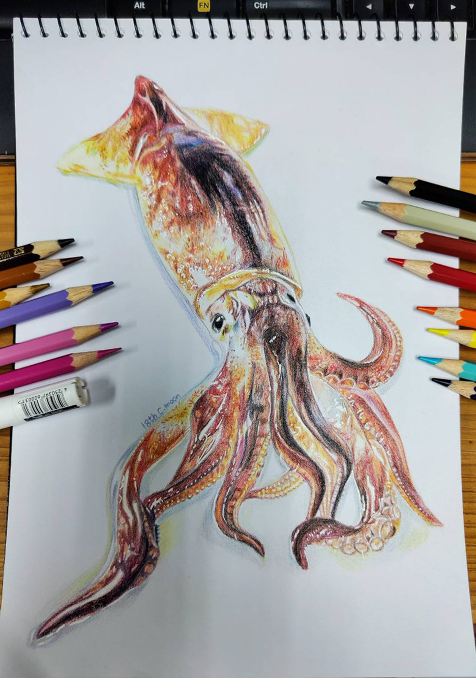 魷魚-色鉛筆.jpg