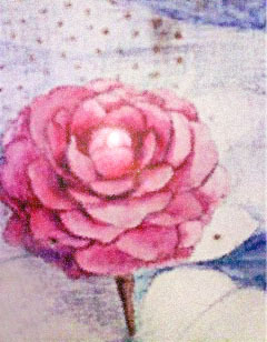 山茶花：屬於小王子的那朵玫瑰