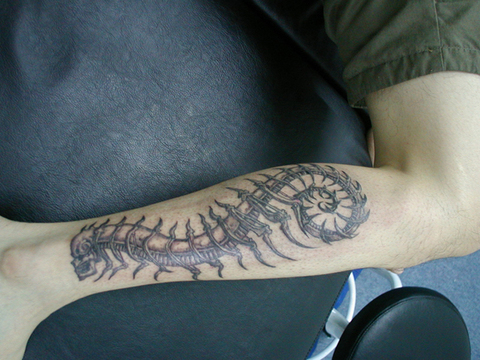 小腿紋身刺青：我的第一刺