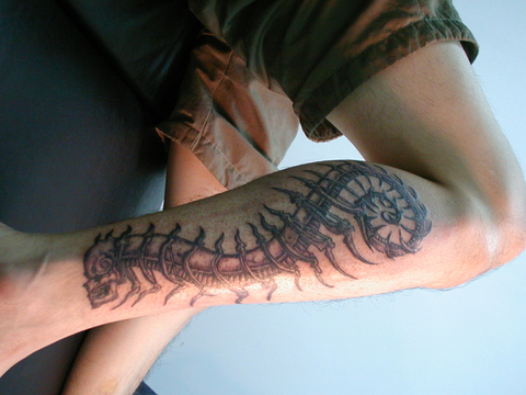 小腿紋身刺青：我的第一刺