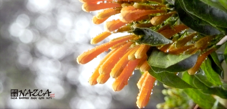 �n��é�_20080113_0001.jpg
