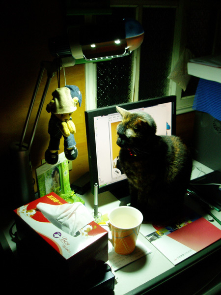 080223-03.jpg