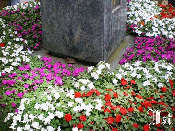 IMGP3753.JPG