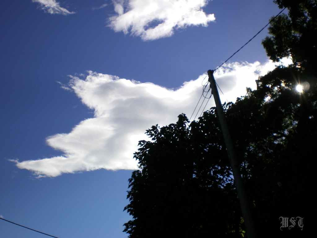 IMGP2566.JPG