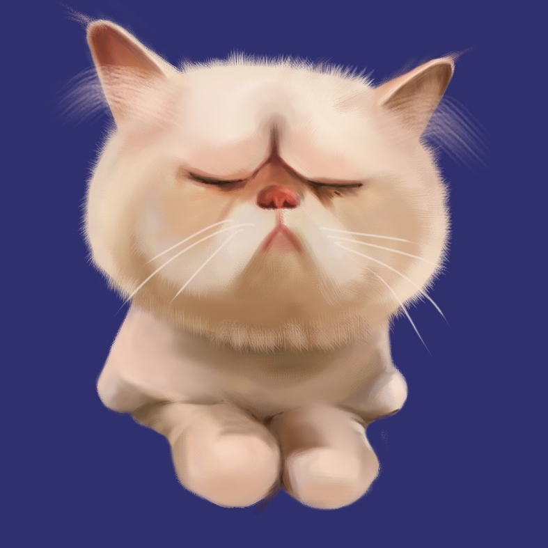cat-13.jpg
