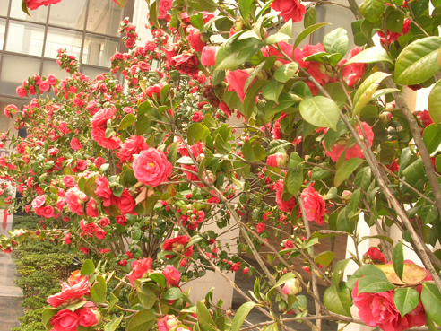 DSCN4204.jpg