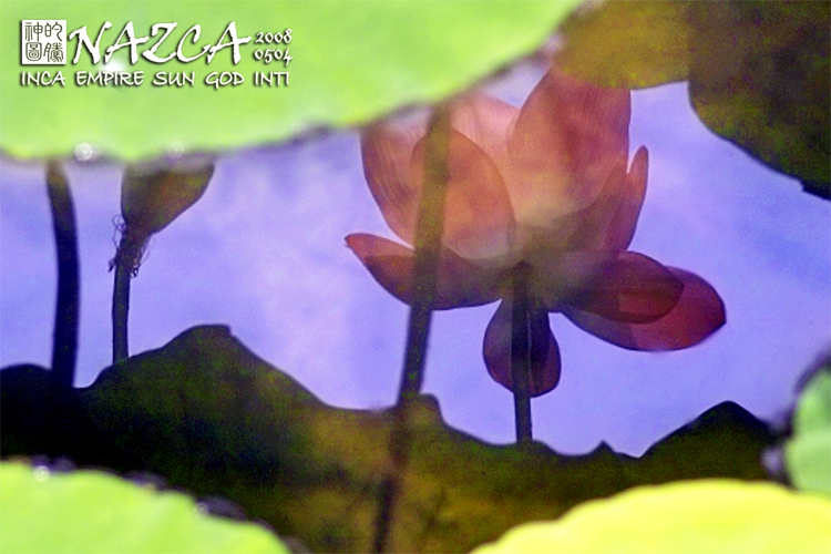20080504_0002.jpg