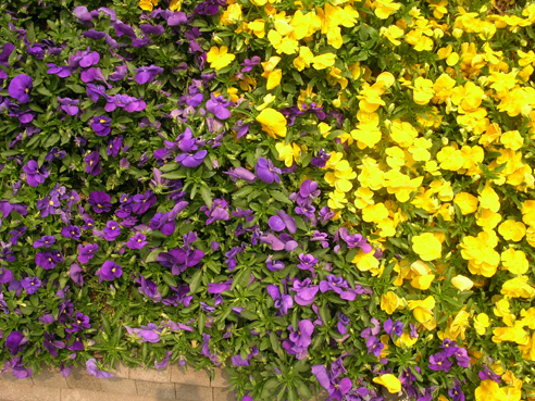 DSCN4285.jpg