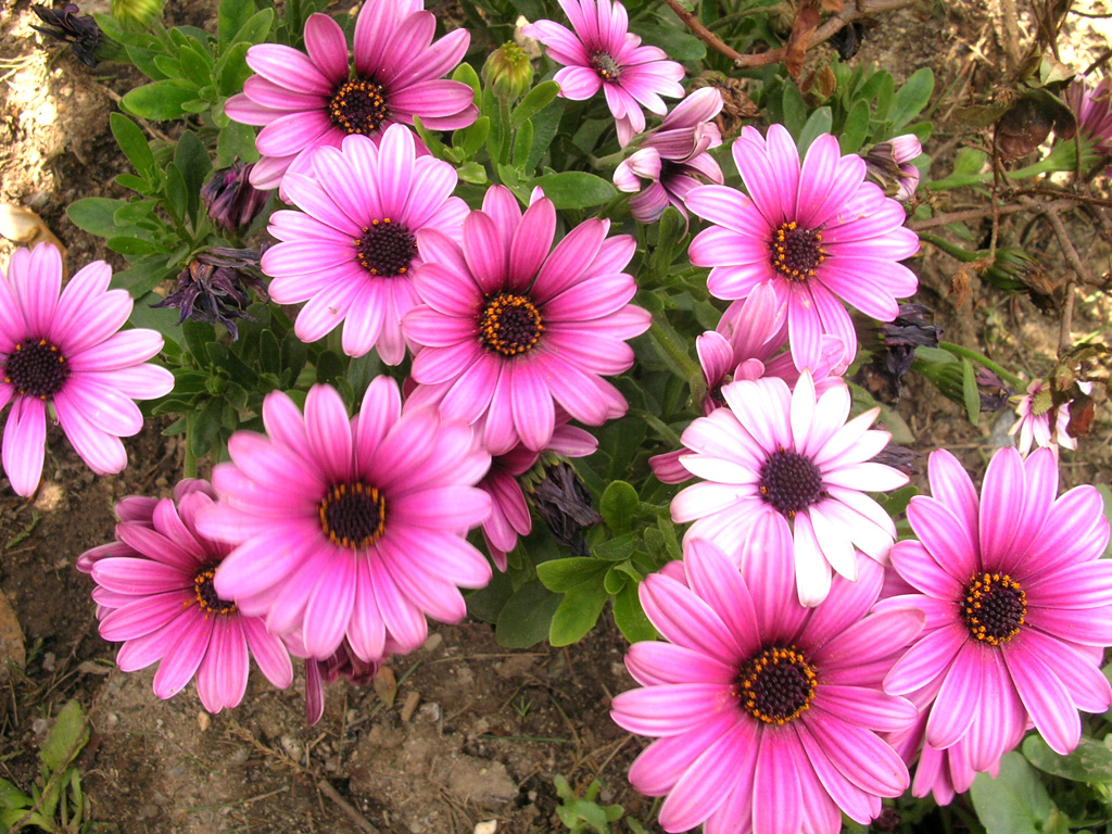 DSCN4361.jpg