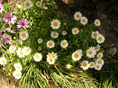 DSCN4355.jpg