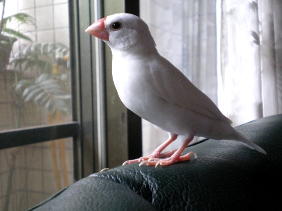 IMGP0229.jpg